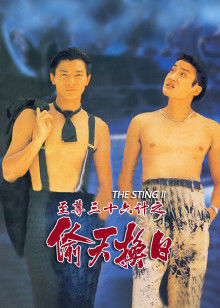 至尊三十六计之偷天换日封面图