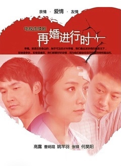 再婚进行时封面图