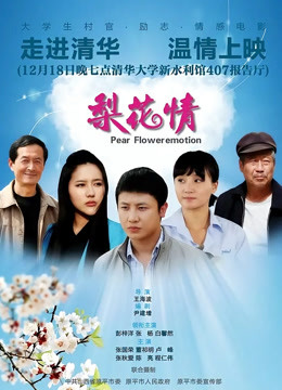 梨花情封面图