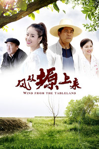 风从塬上来封面图