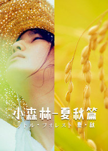 小森林 夏秋篇封面图