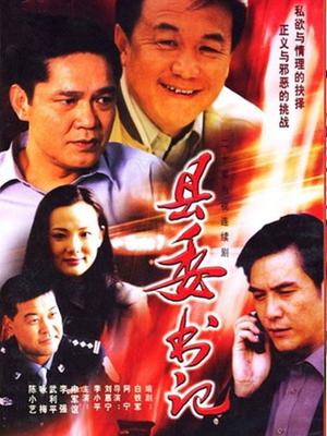 县委书记封面图