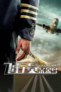 飞行员呆呆鸟封面图