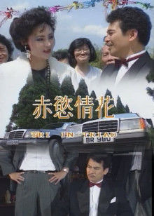 赤欲情花封面图