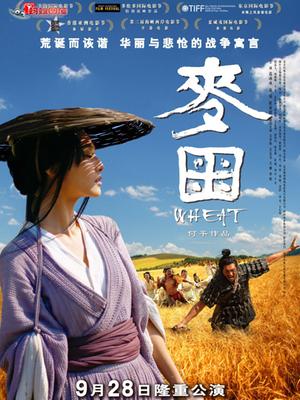 麦田封面图