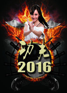 功夫2016封面图