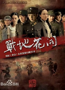 战地花开封面图