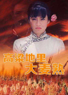 高粱地里大麦熟封面图