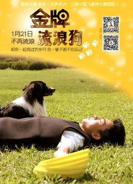 金牌流浪狗封面图