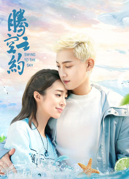 腾空之约封面图