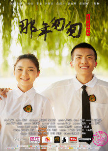 那年匆匆封面图