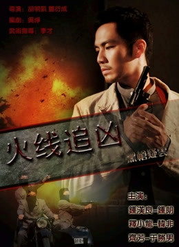 火线追凶之黑枪疑云封面图