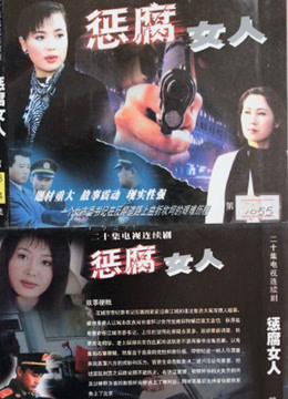 惩腐女人封面图