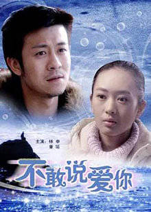 不敢说爱你封面图