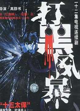 打黑风暴封面图