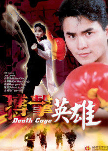 搏击英雄封面图