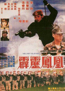 霹雳凤凰封面图