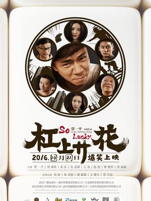 杠上开花封面图