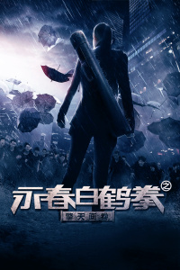 永春白鹤拳之擎天画卷封面图