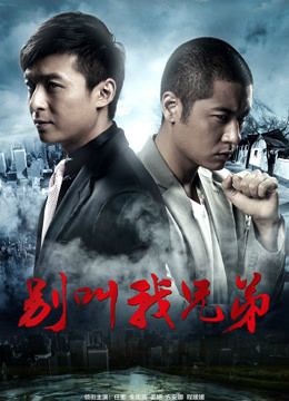 别叫我兄弟封面图