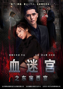血迷宫封面图