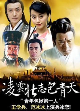 凌云壮志包青天封面图