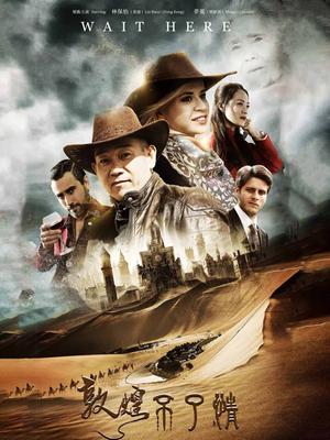 敦煌不了情封面图