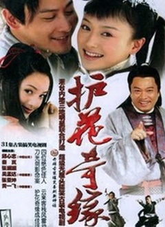 护花奇缘封面图