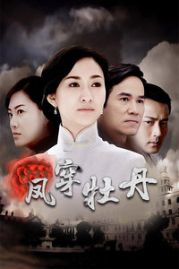 凤穿牡丹封面图