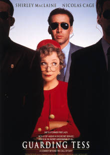 第一夫人的保镖封面图