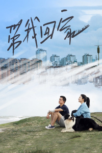 带我回家封面图