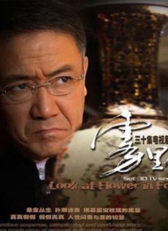 雾里看花封面图