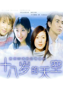 十八岁的天空封面图