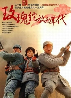 玫瑰绽放的年代封面图