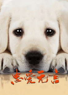 忠爱无言封面图