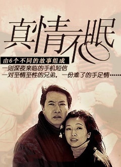 真情不眠封面图