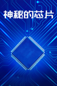 神秘的芯片封面图