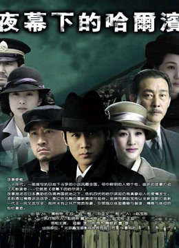 夜幕下的哈尔滨封面图