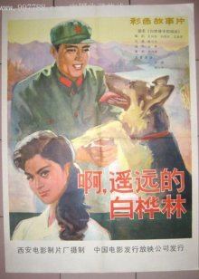 白桦林中的哨所封面图