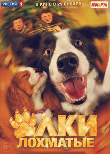 小狗当家封面图