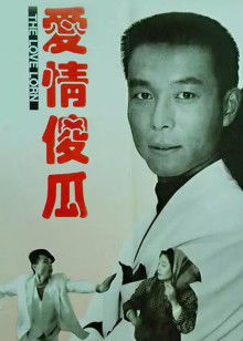 爱情傻瓜封面图