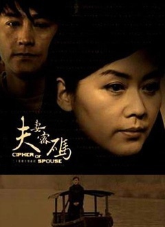 夫妻密码封面图