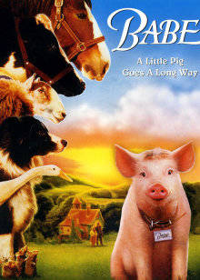 小猪宝贝封面图