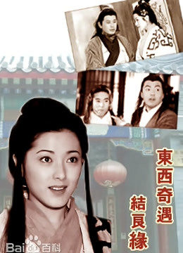 东西奇遇结良缘封面图