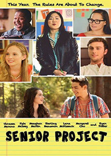 高级项目封面图