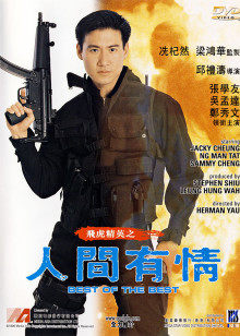 飞虎精英之人间有情封面图