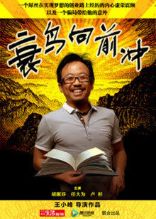 衰鸟向前冲封面图