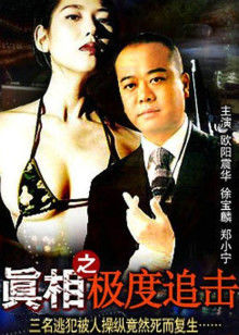 真相之极度追击封面图