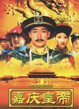 嘉庆传奇封面图