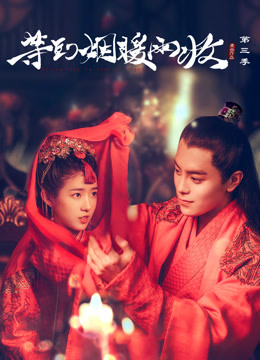 等到烟暖雨收第三季封面图